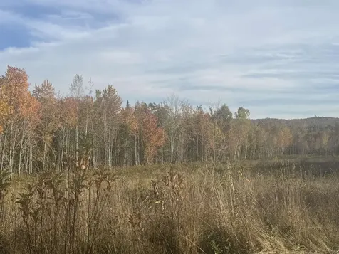 1798 Powder Spring Road Groton VT 05046