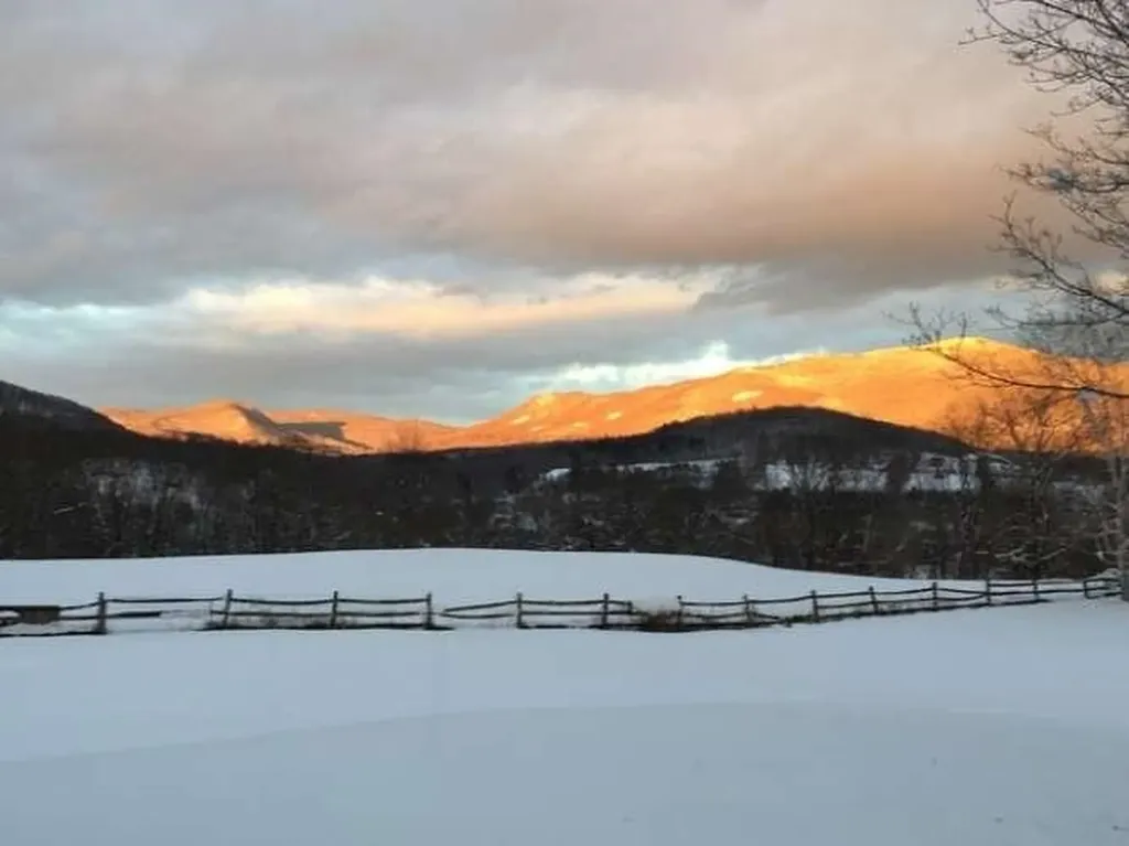 679 Rupert Hill Road Pawlet VT 05761