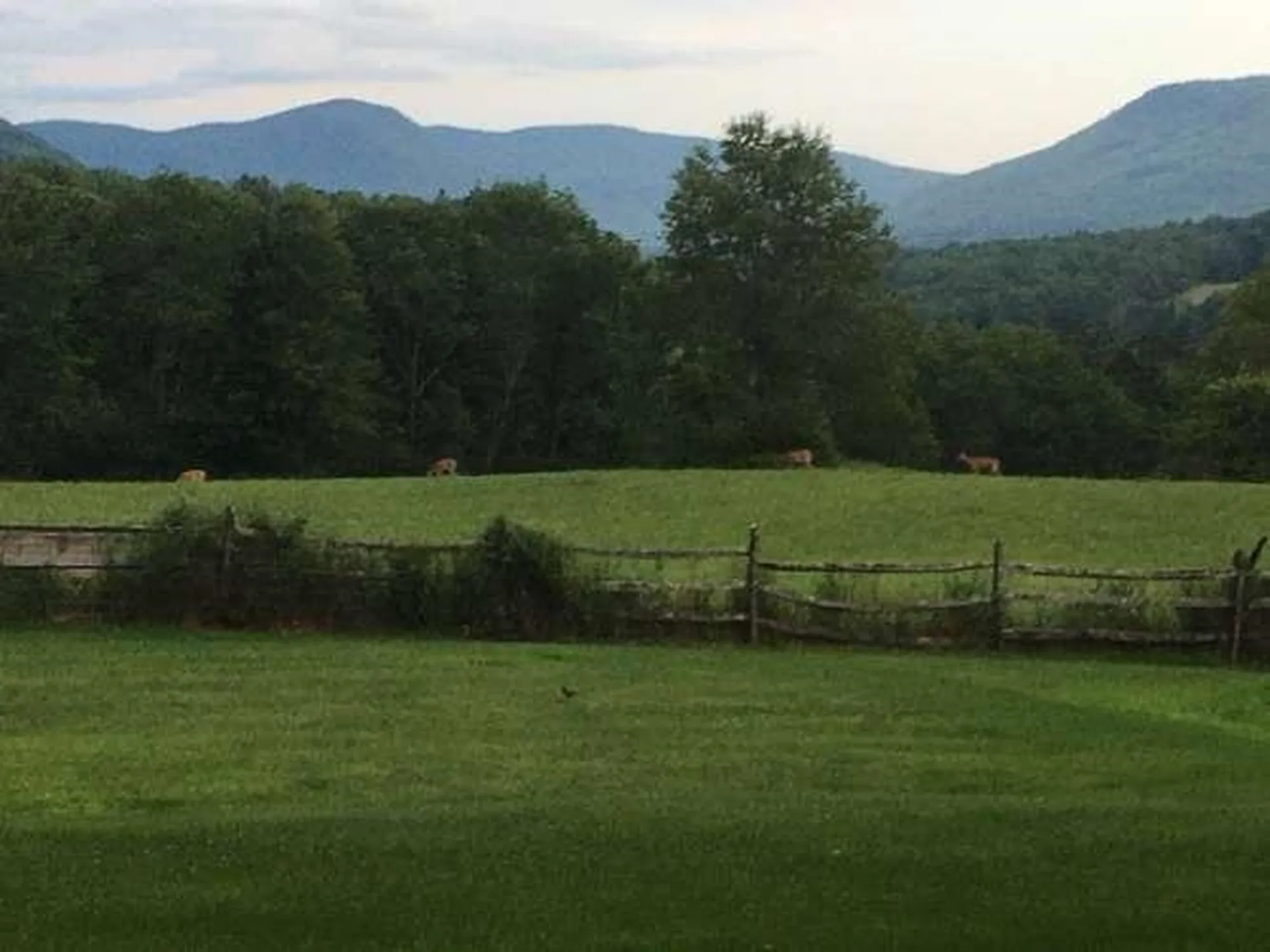 679 Rupert Hill Road Pawlet VT 05761