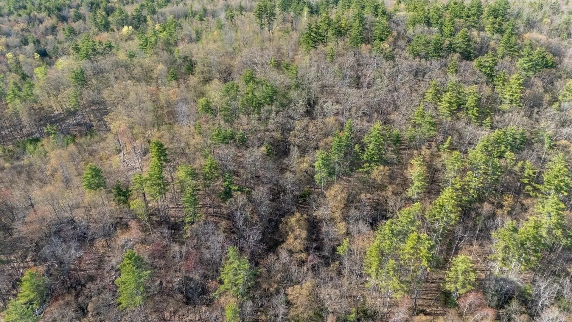 0 N Candia Road Hooksett NH 03106