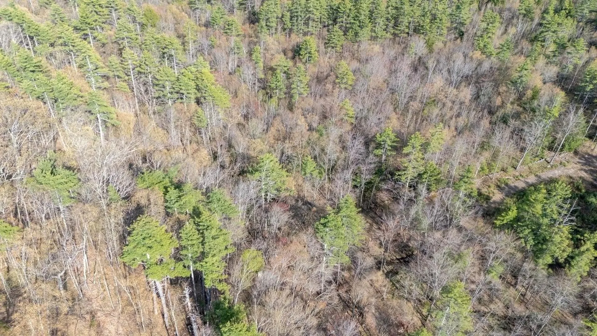 0 N Candia Road Hooksett NH 03106