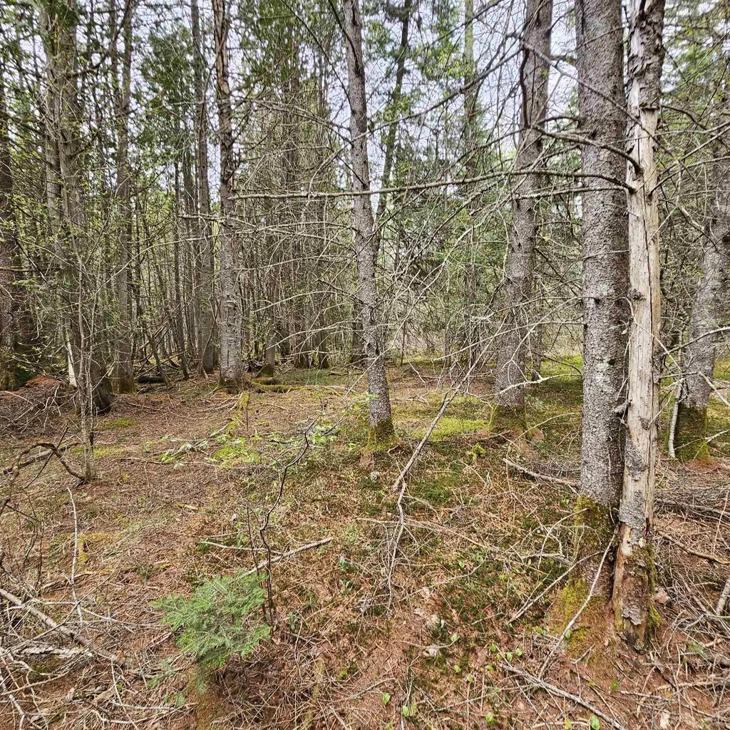 3839 Us Route 5 Sutton VT 05867