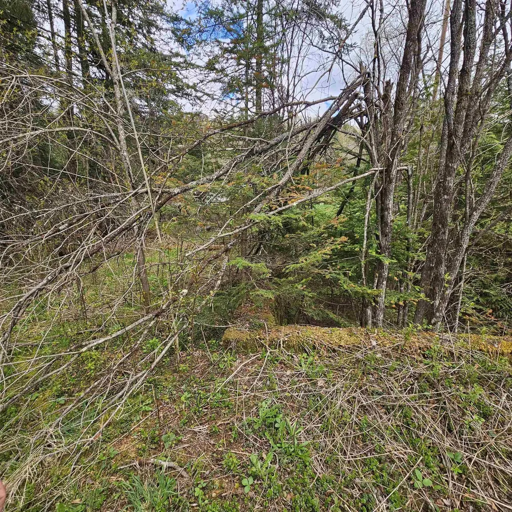 3839 Us Route 5 Sutton VT 05867