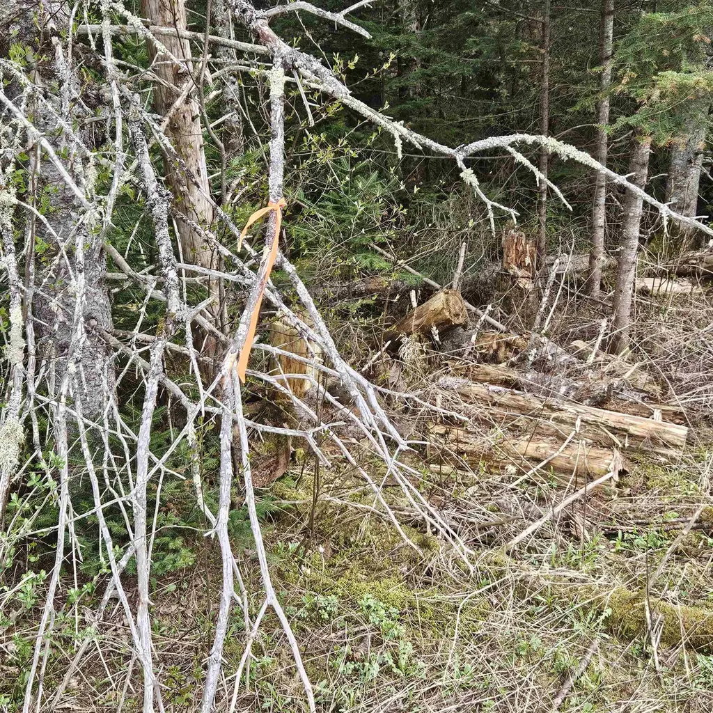 3839 Us Route 5 Sutton VT 05867