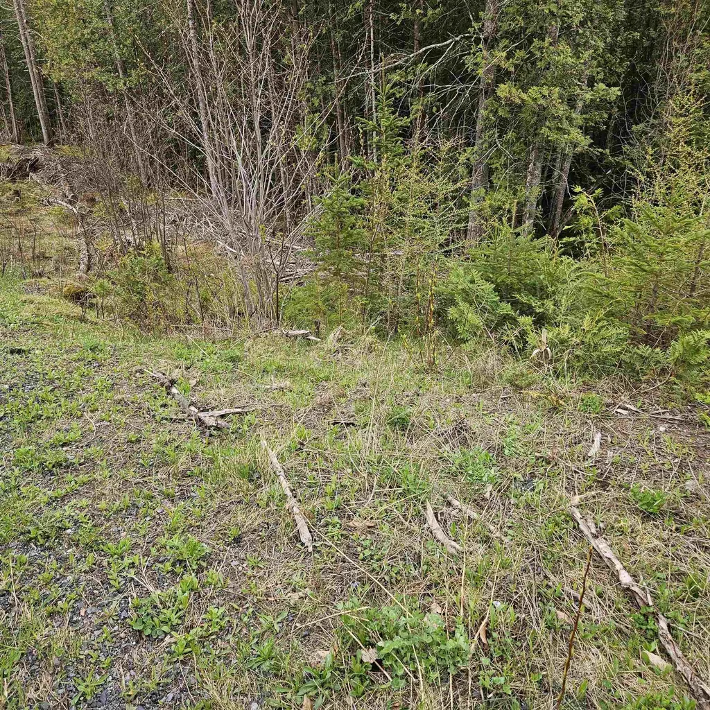 3839 Us Route 5 Sutton VT 05867