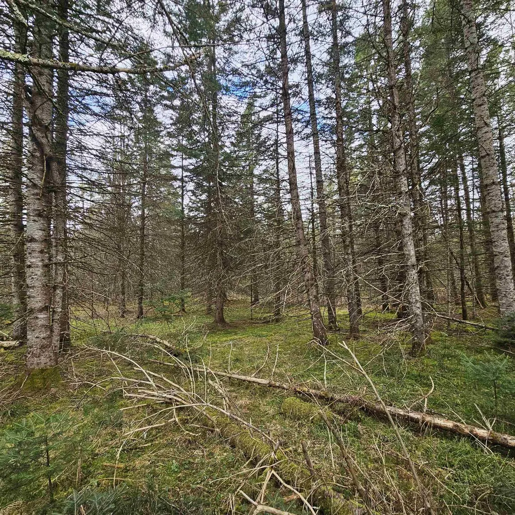 3839 Us Route 5 Sutton VT 05867