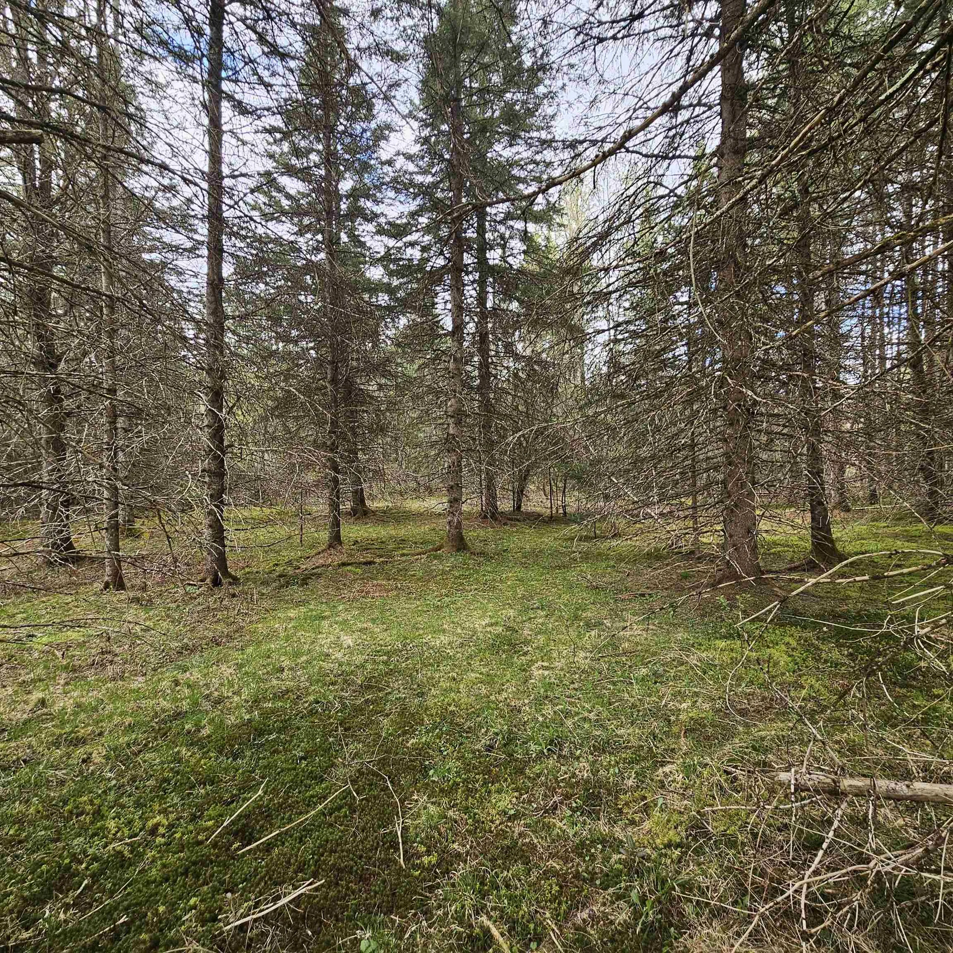 3839 Us Route 5 Sutton VT 05867