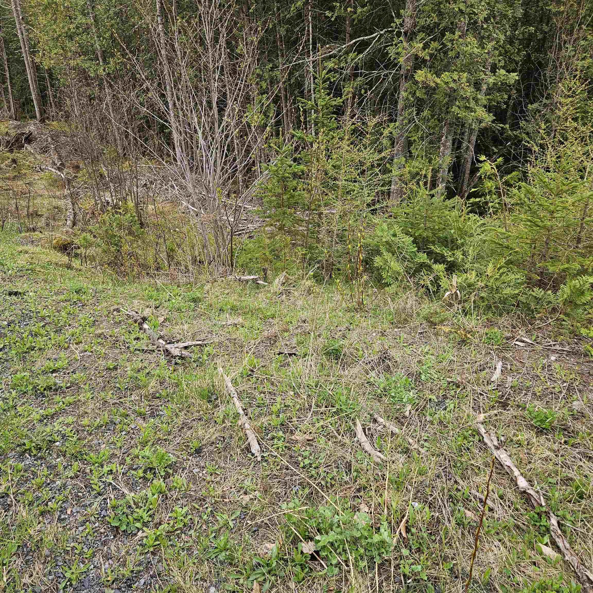 3839 Us Route 5 Sutton VT 05867