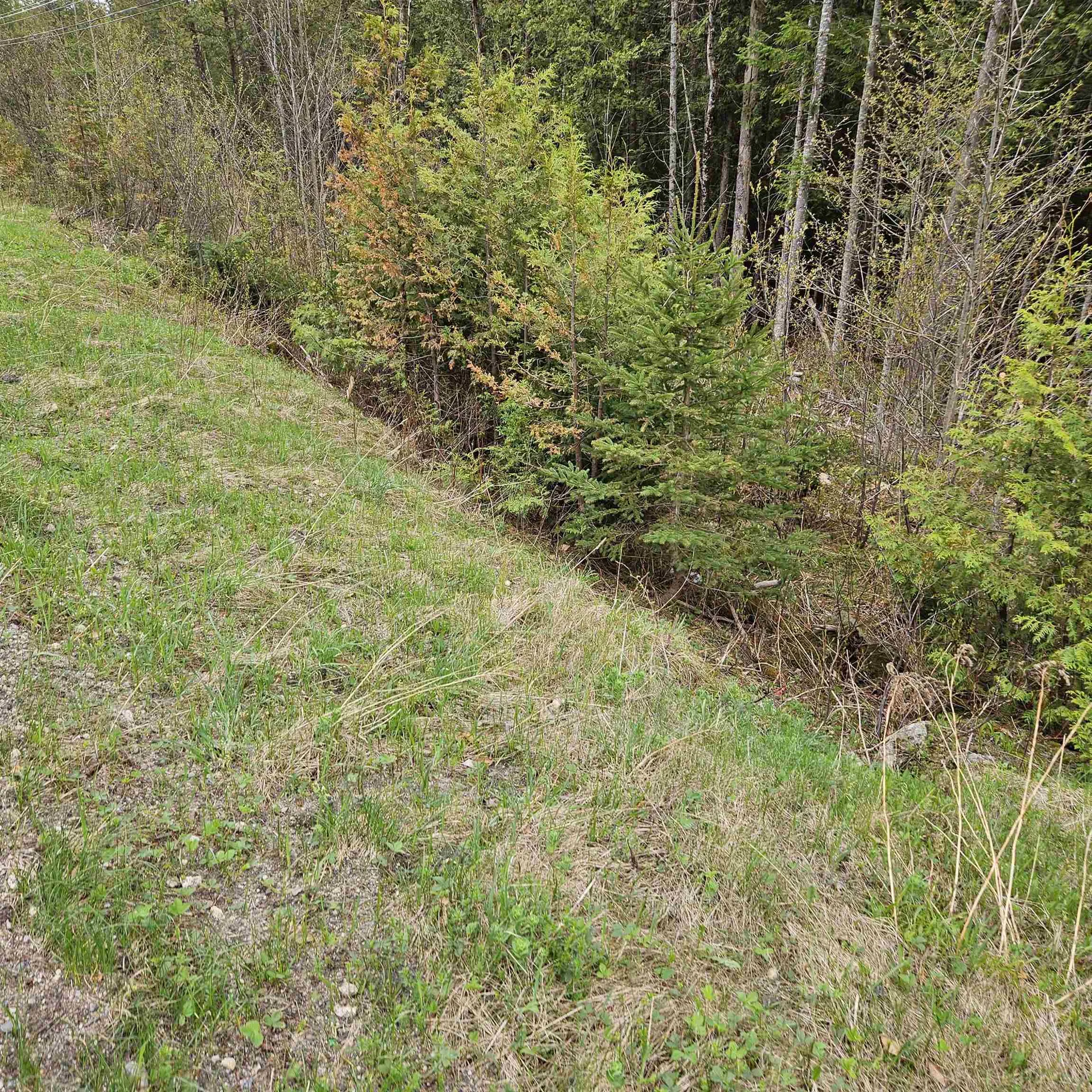 3839 Us Route 5 Sutton VT 05867