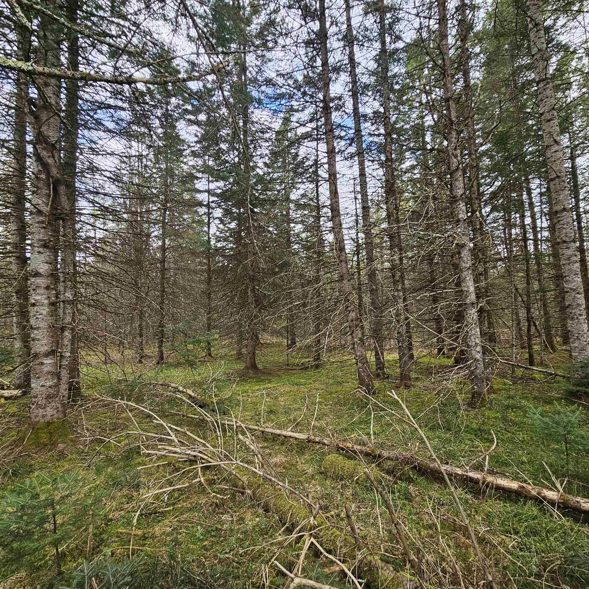 3839 Us Route 5 Sutton VT 05867