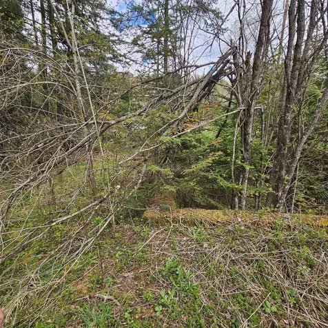 3839 Us Route 5 Sutton VT 05867