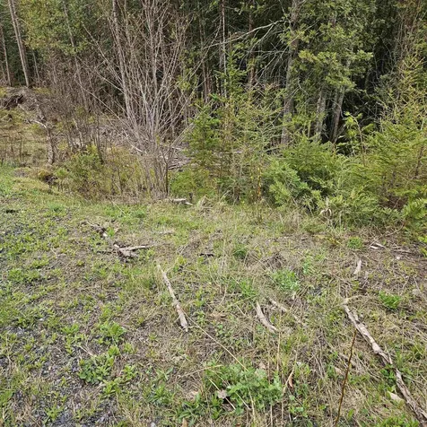 3839 Us Route 5 Sutton VT 05867