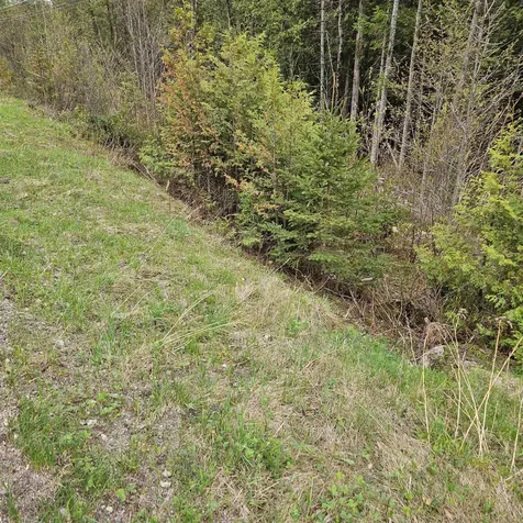 3839 Us Route 5 Sutton VT 05867