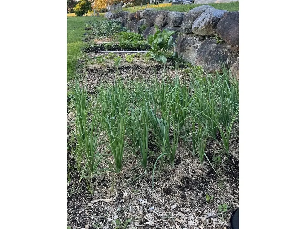 42 Bowman Road Vergennes VT 05491