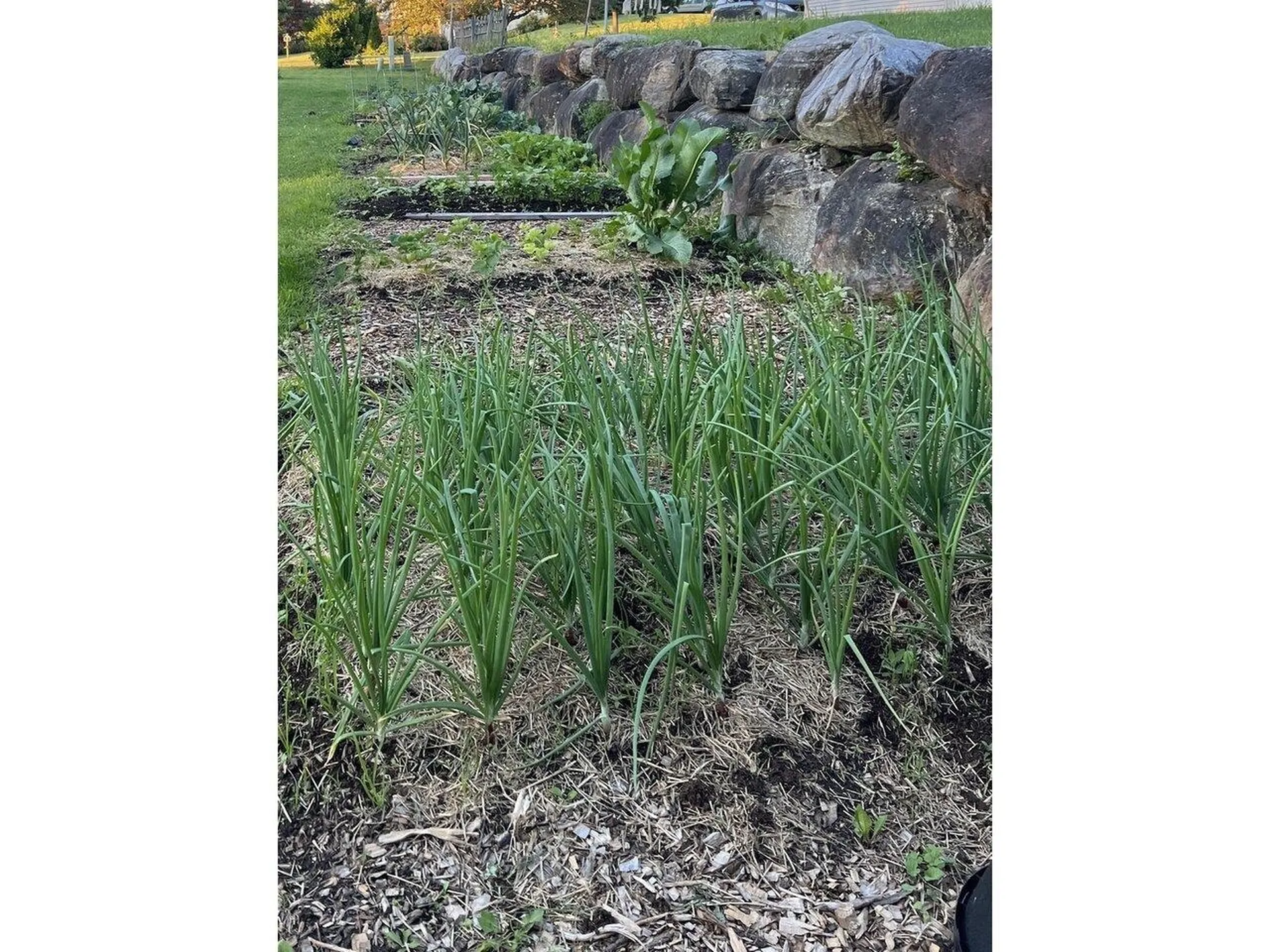 42 Bowman Road Vergennes VT 05491