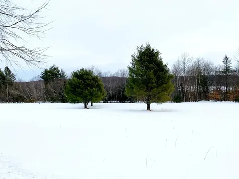 00 Fairground Road Northfield VT 05663