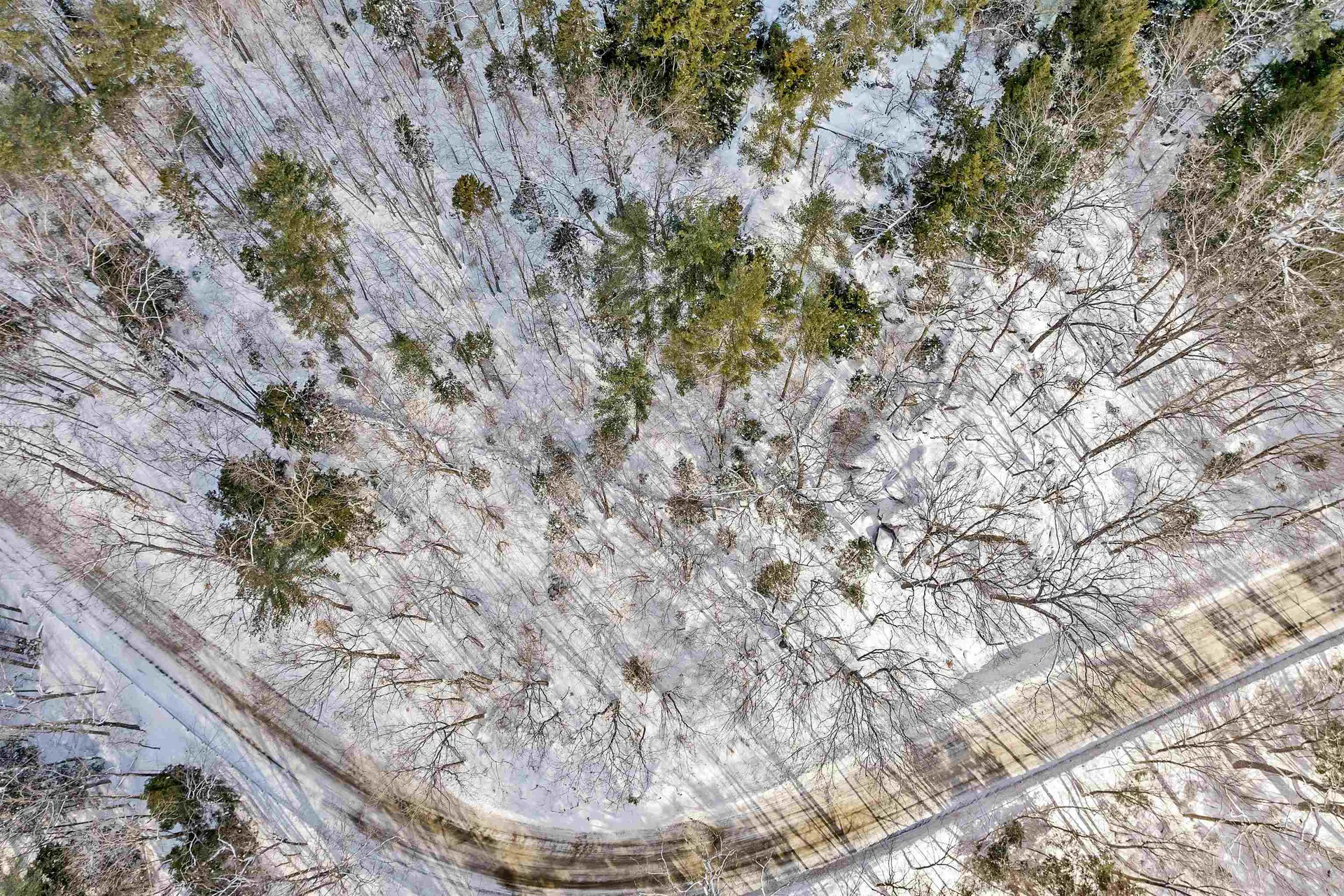 410-090-010 Eastern District Road Danbury NH 03230