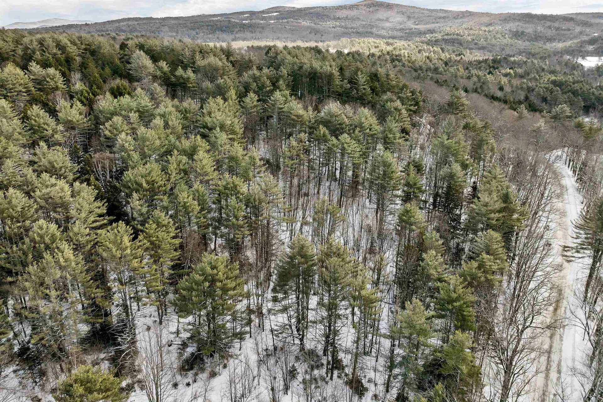 410-090-010 Eastern District Road Danbury NH 03230