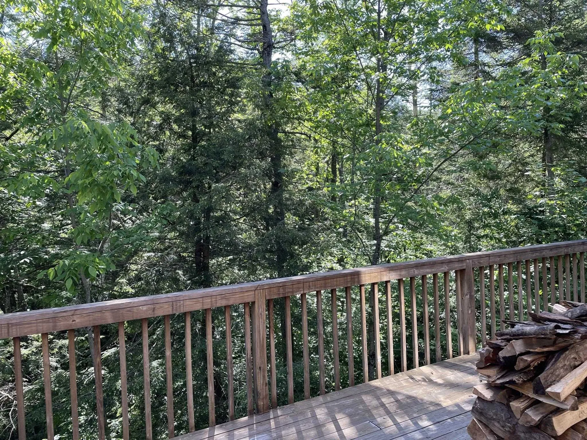 191 Forest Mountain Road Peru VT 05152