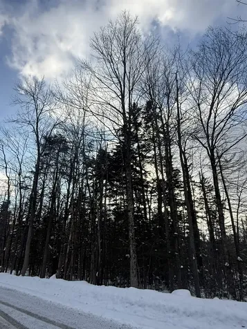 359 Dover Hill Road Dover VT 05356