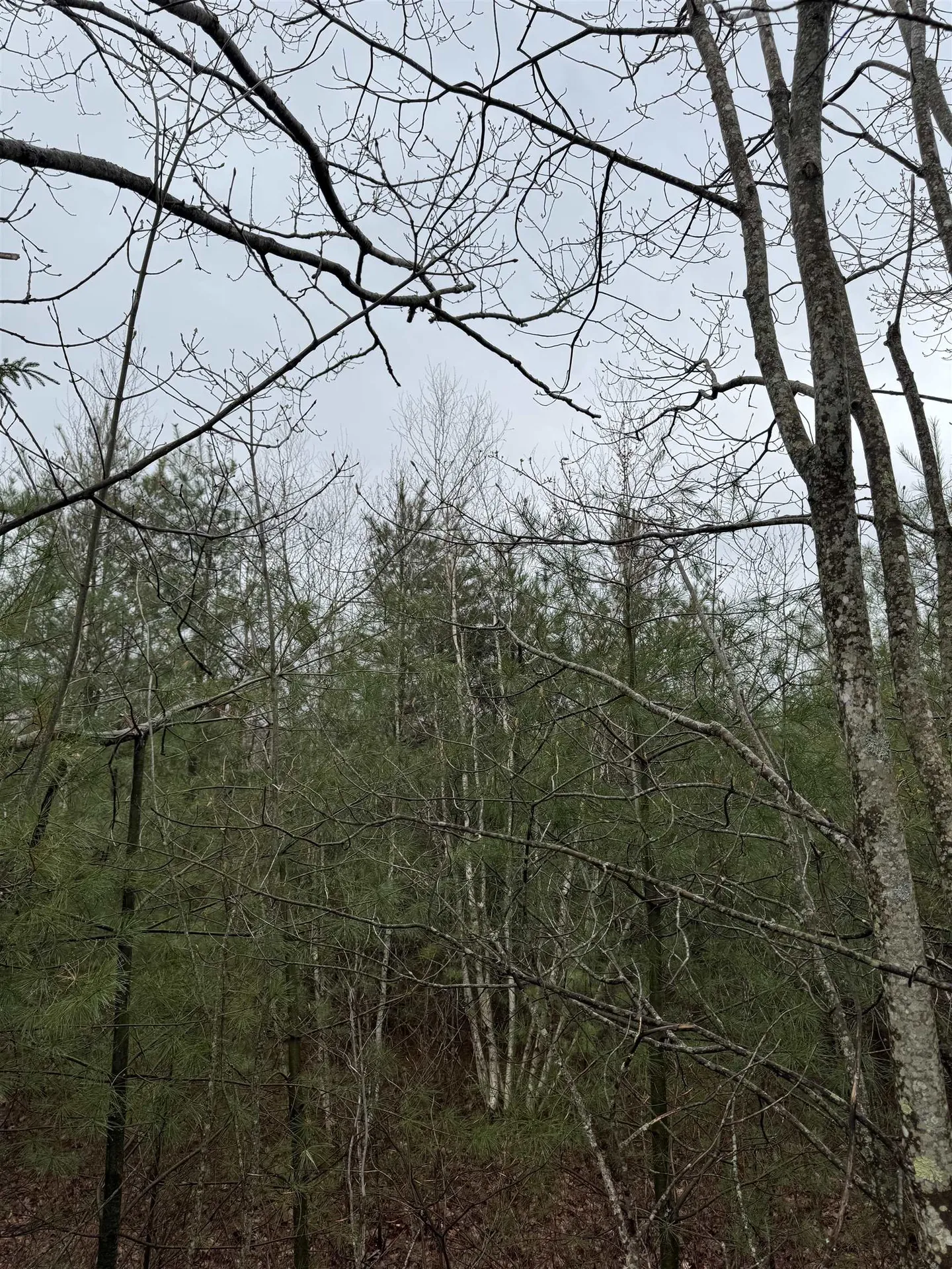 Tbd Mason Road Milton NH 03851