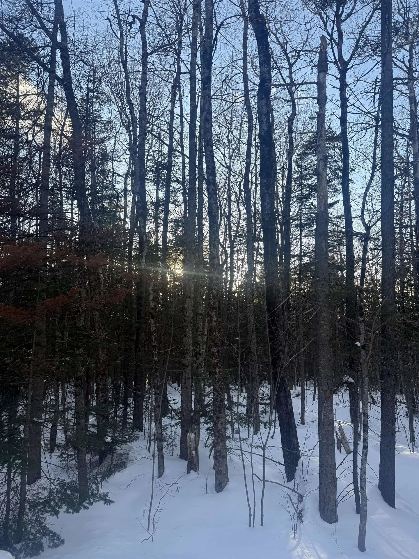 359 Dover Hill Road Dover VT 05356