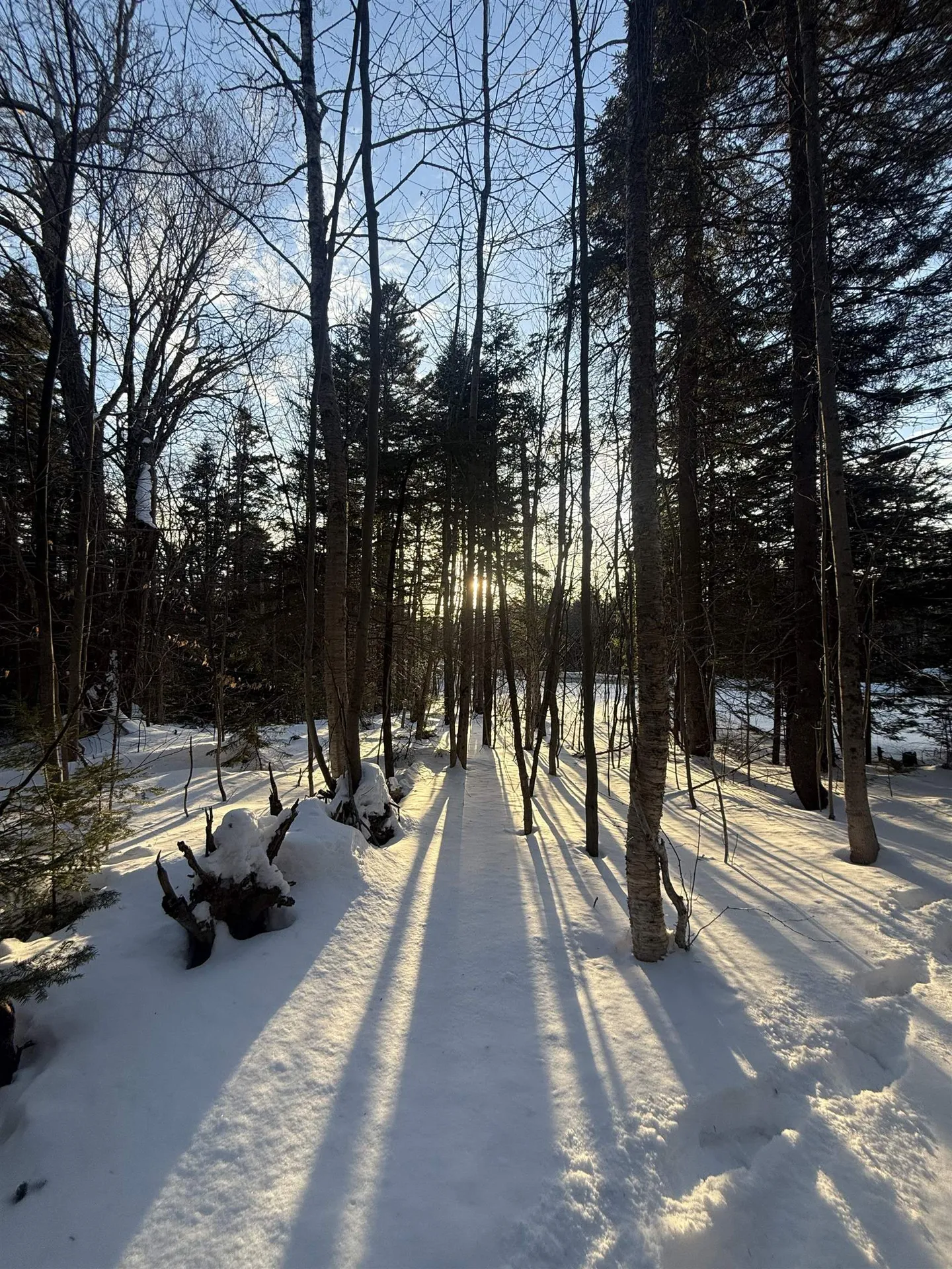 359 Dover Hill Road Dover VT 05356