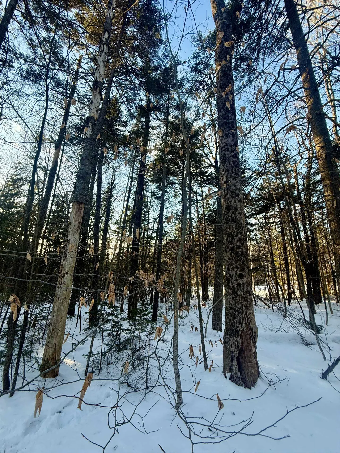 359 Dover Hill Road Dover VT 05356