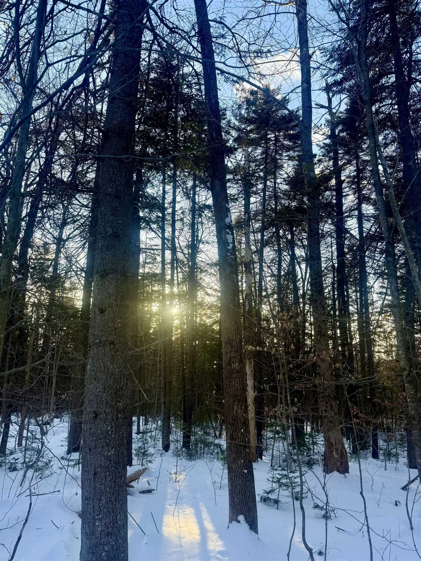 359 Dover Hill Road Dover VT 05356