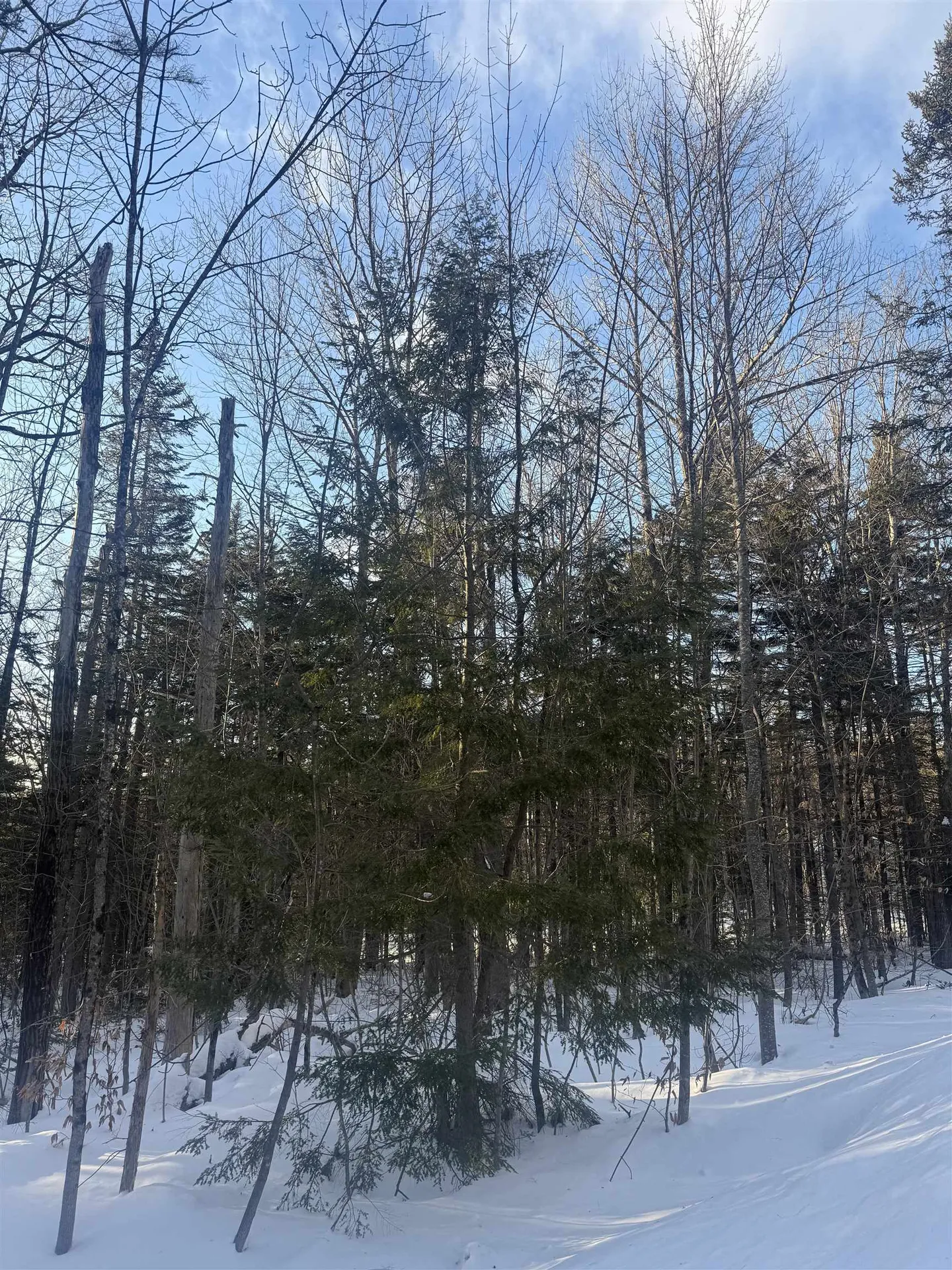 359 Dover Hill Road Dover VT 05356