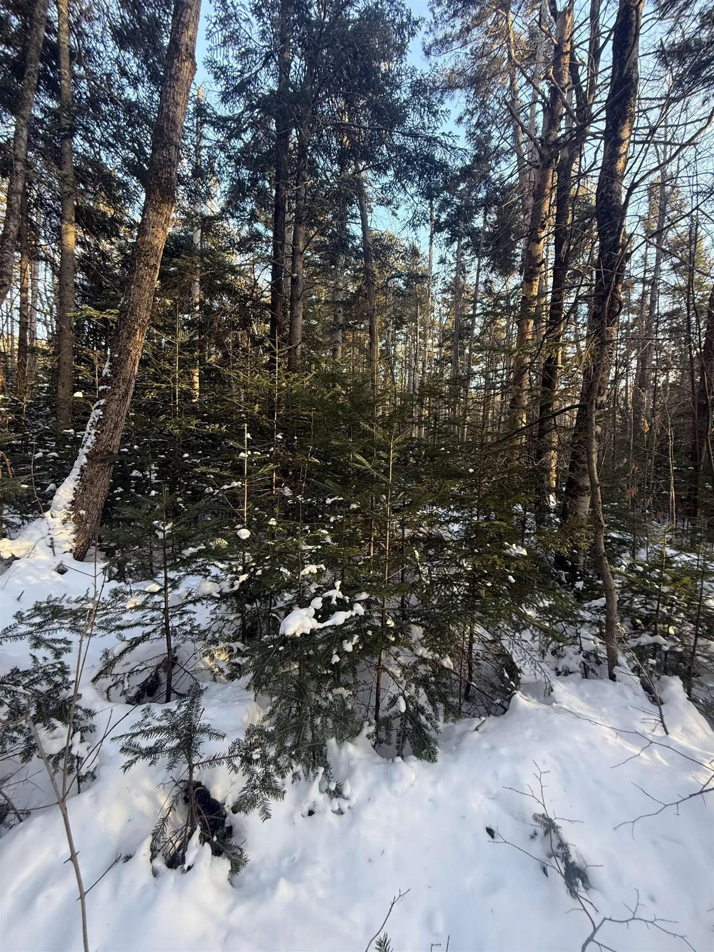 359 Dover Hill Road Dover VT 05356