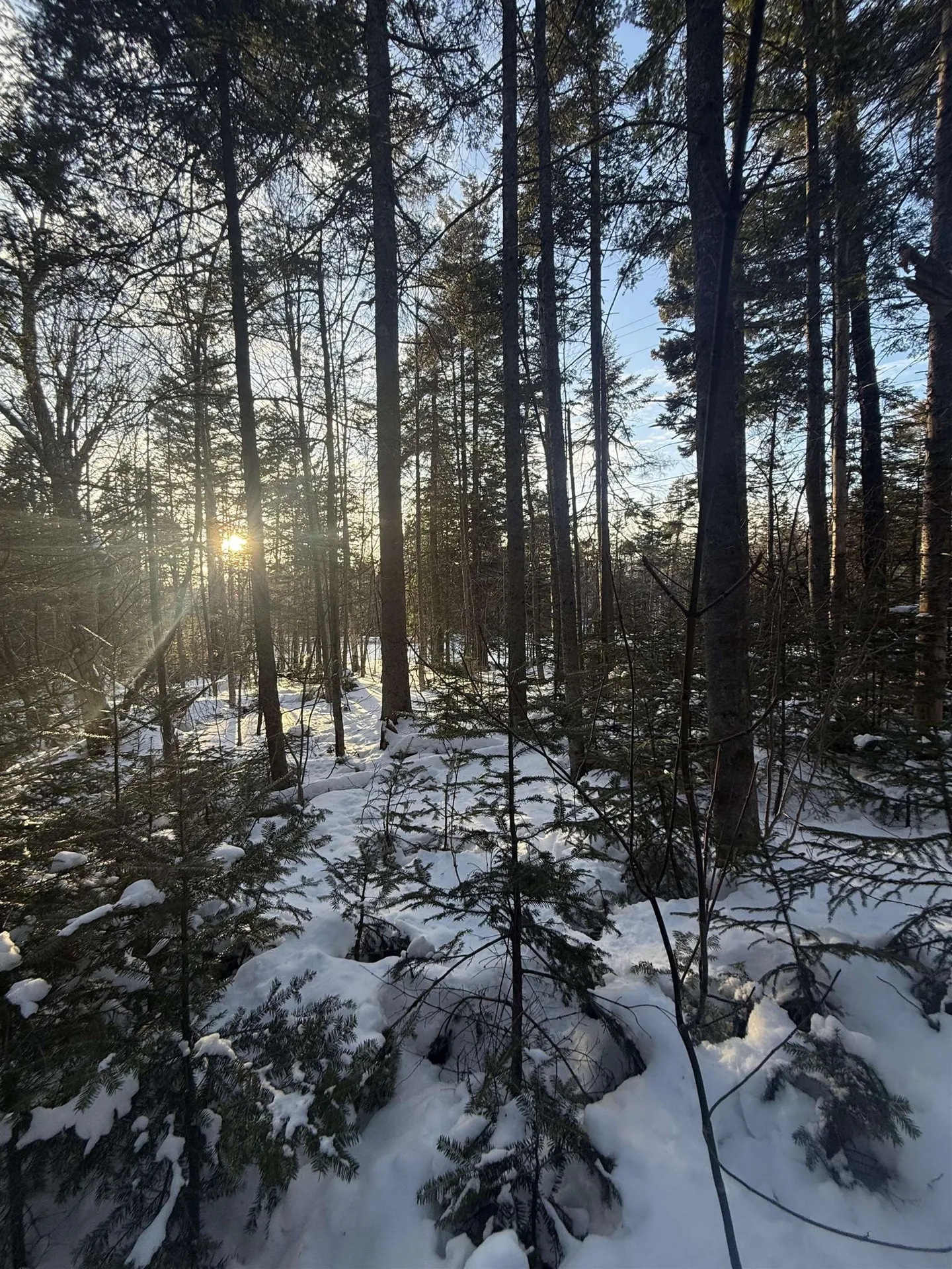 359 Dover Hill Road Dover VT 05356