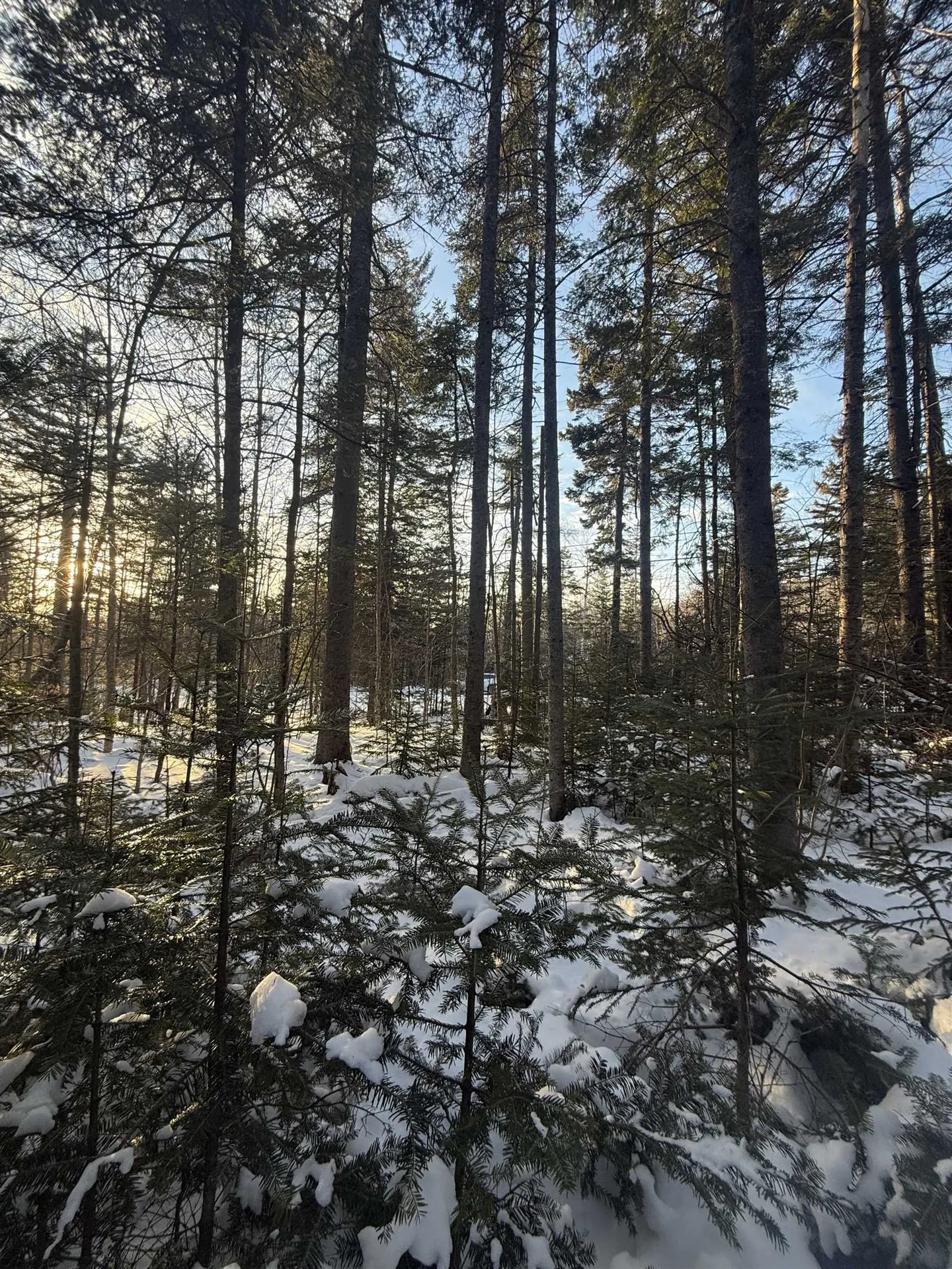 359 Dover Hill Road Dover VT 05356