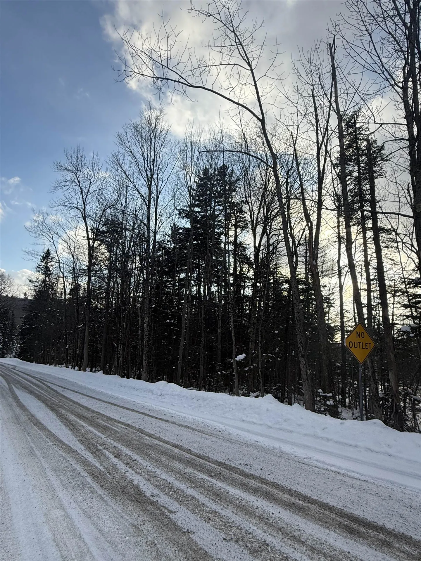 359 Dover Hill Road Dover VT 05356