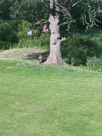 271 Bishop Brook Road Stewartstown NH 03597