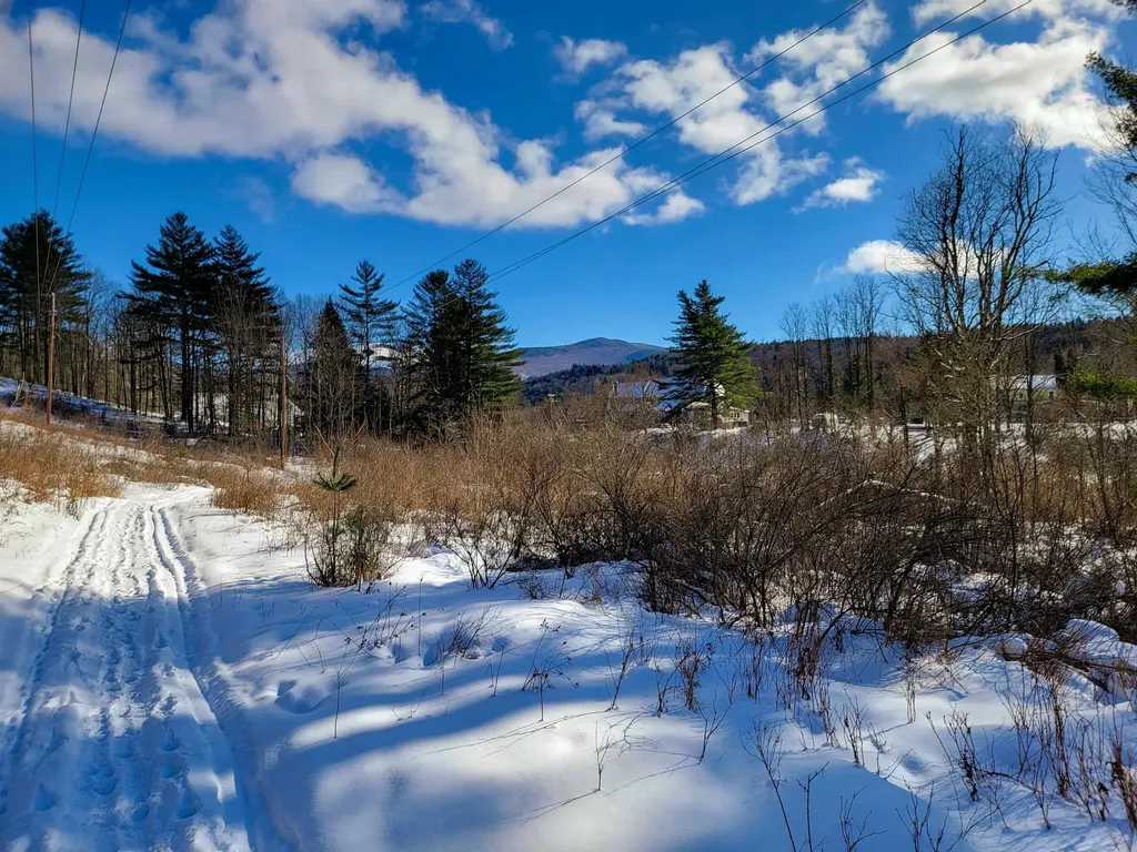 80 Carroll Road Waitsfield VT 05673