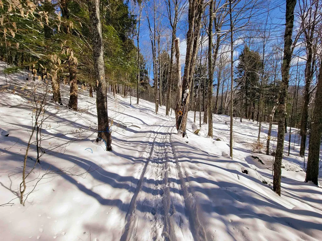 80 Carroll Road Waitsfield VT 05673