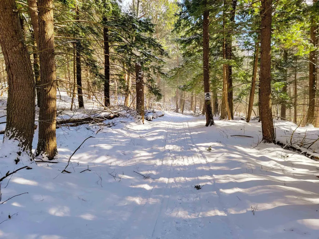 80 Carroll Road Waitsfield VT 05673