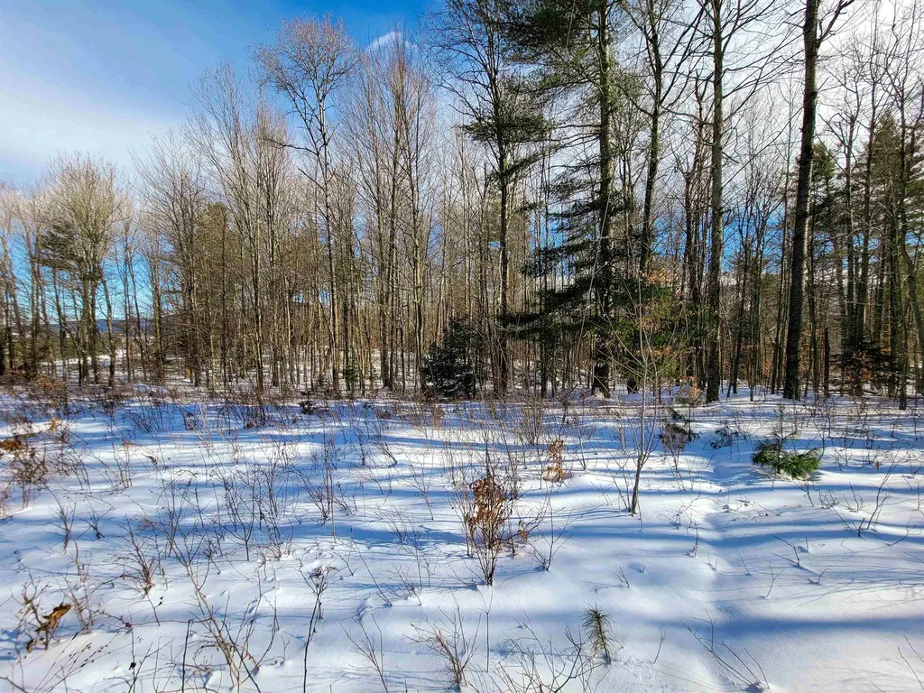 80 Carroll Road Waitsfield VT 05673