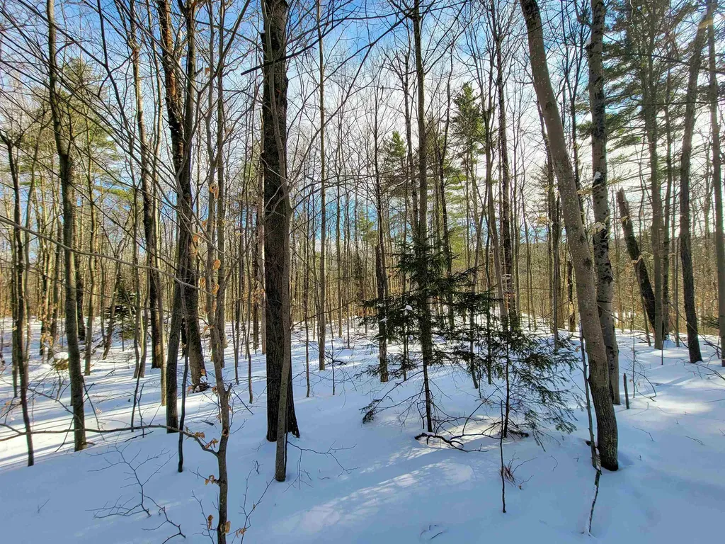 80 Carroll Road Waitsfield VT 05673