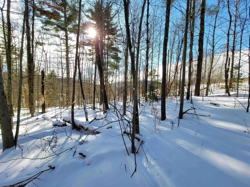 80 Carroll Road Waitsfield VT 05673