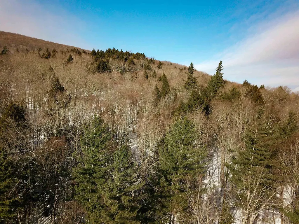 80 Carroll Road Waitsfield VT 05673