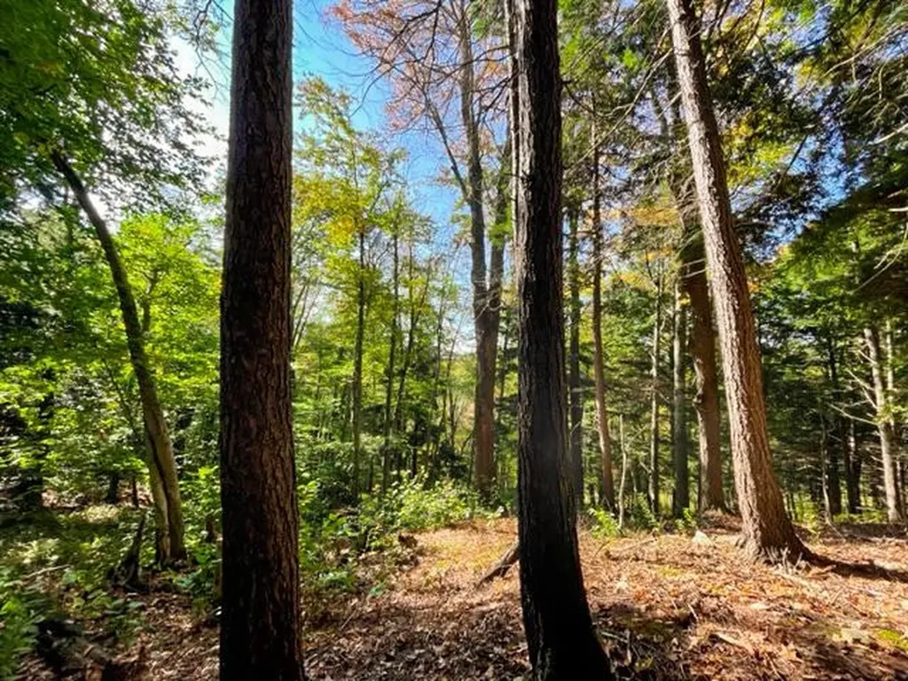 80 Carroll Road Waitsfield VT 05673