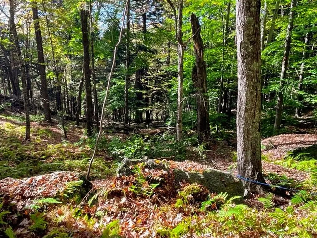 80 Carroll Road Waitsfield VT 05673