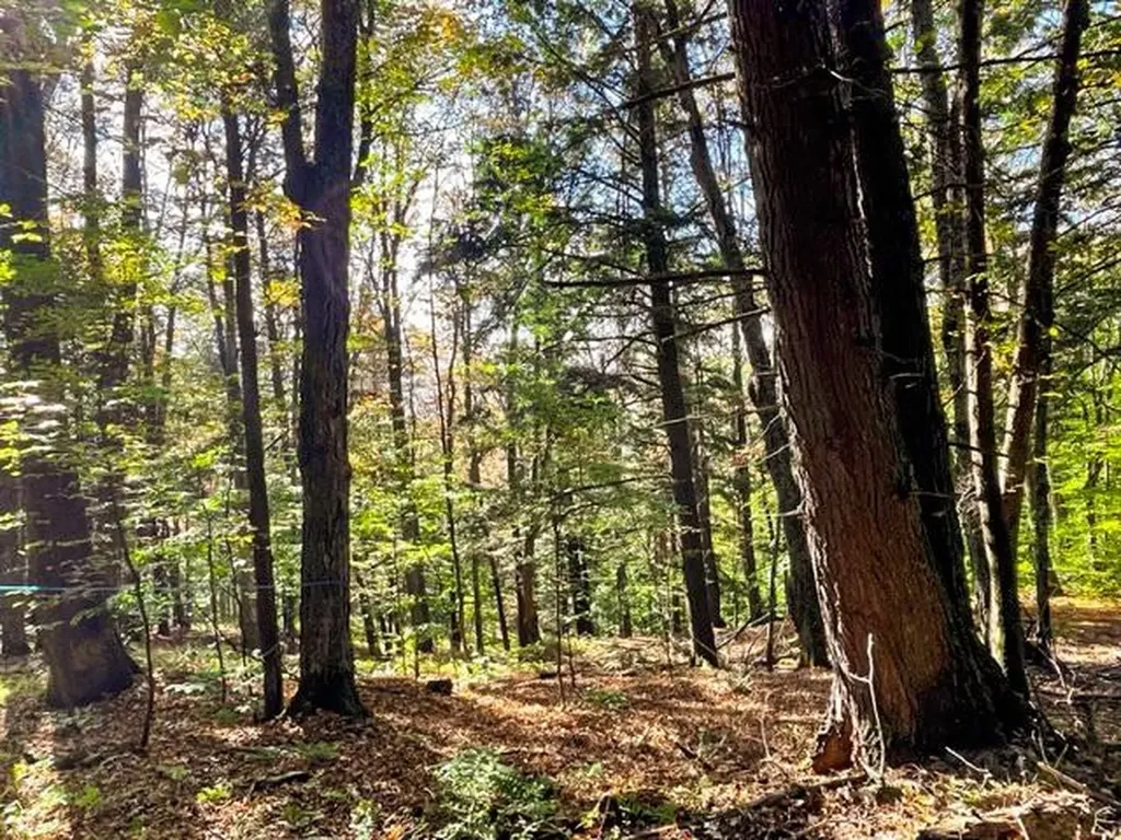 80 Carroll Road Waitsfield VT 05673