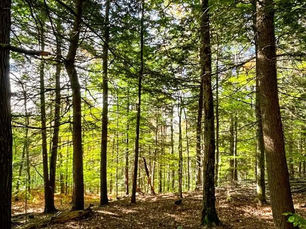 80 Carroll Road Waitsfield VT 05673