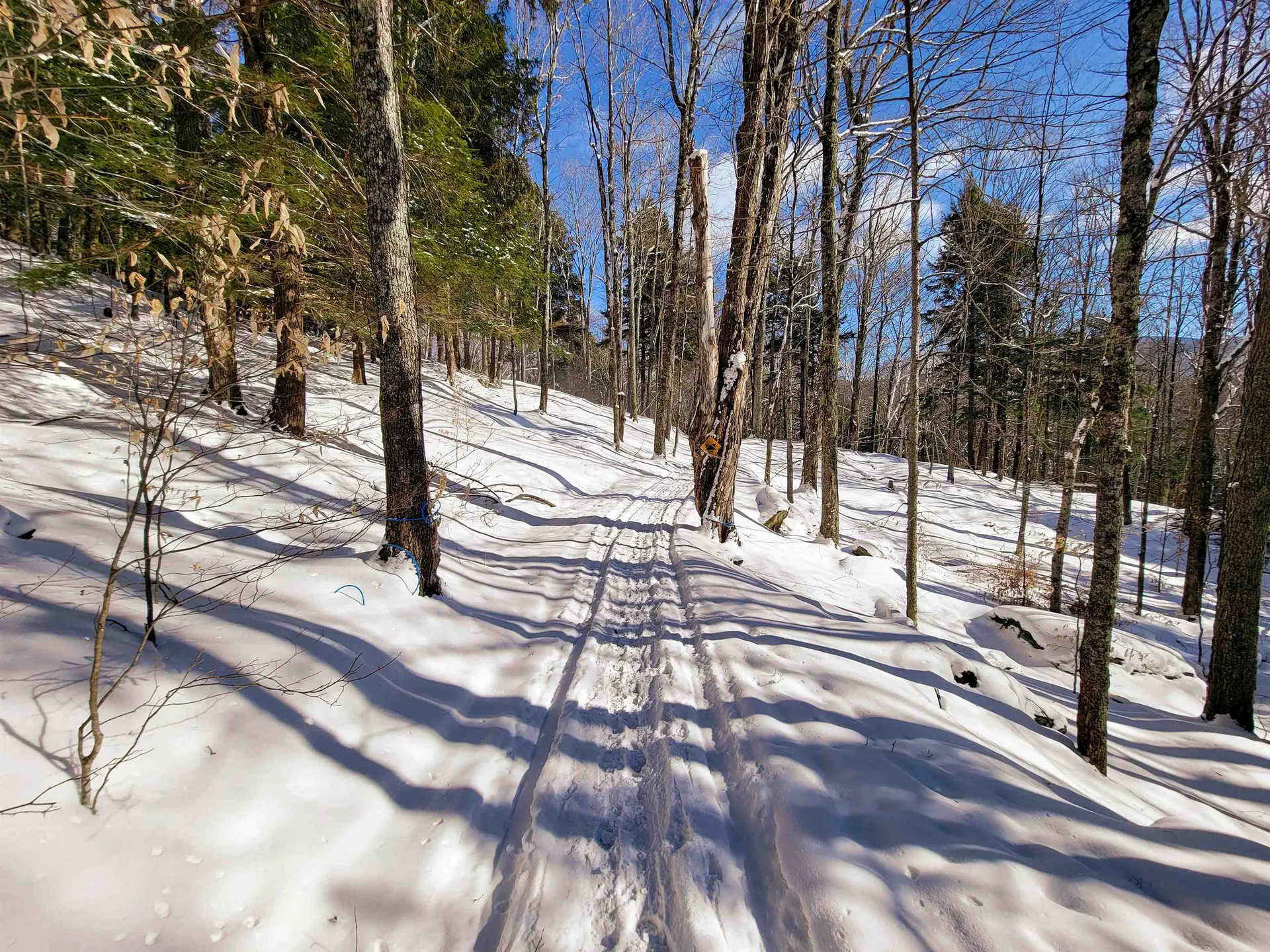 80 Carroll Road Waitsfield VT 05673