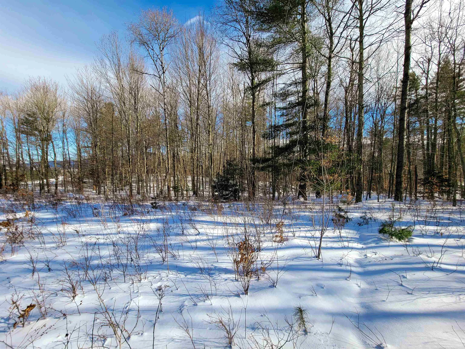 80 Carroll Road Waitsfield VT 05673