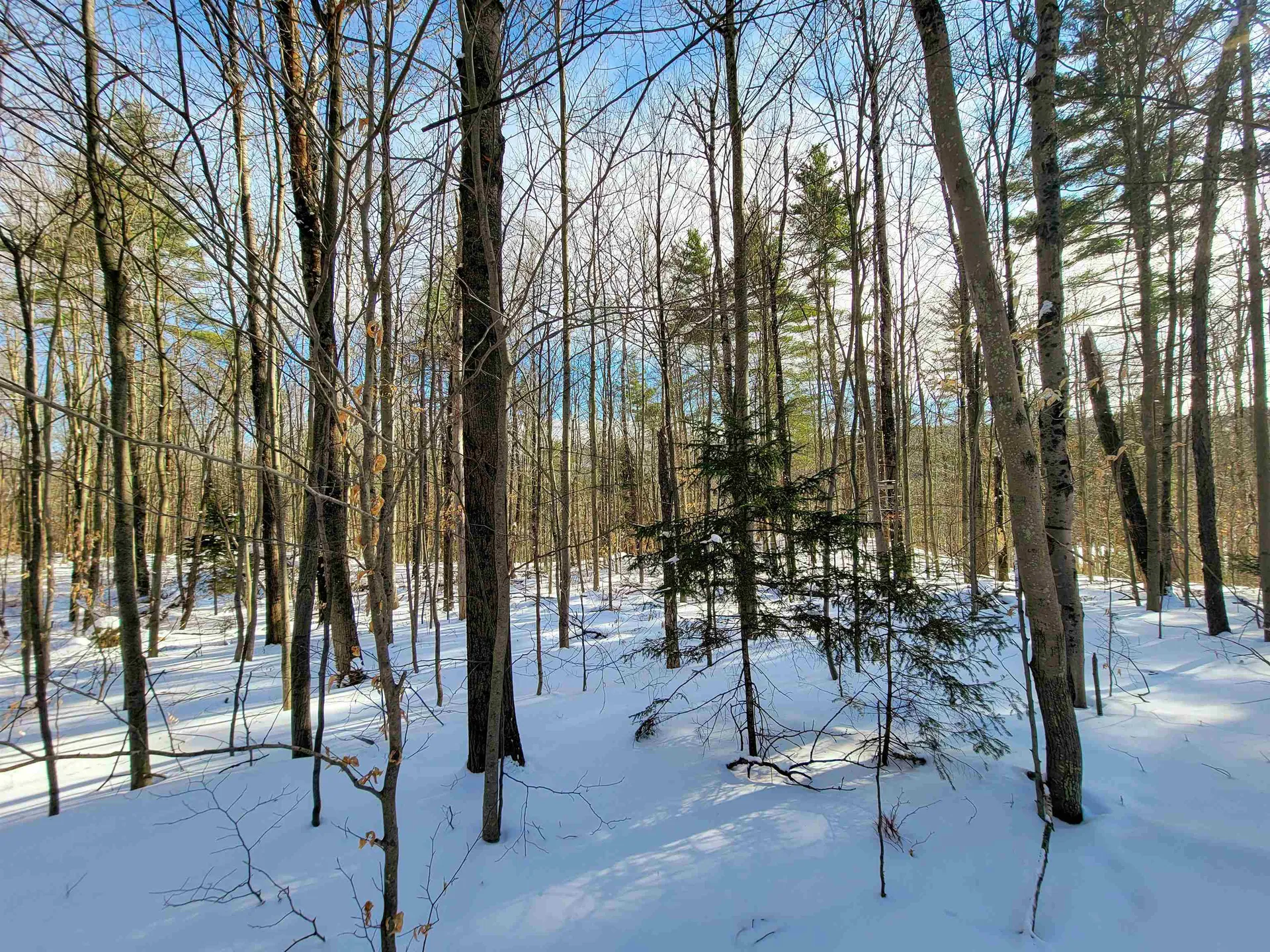 80 Carroll Road Waitsfield VT 05673