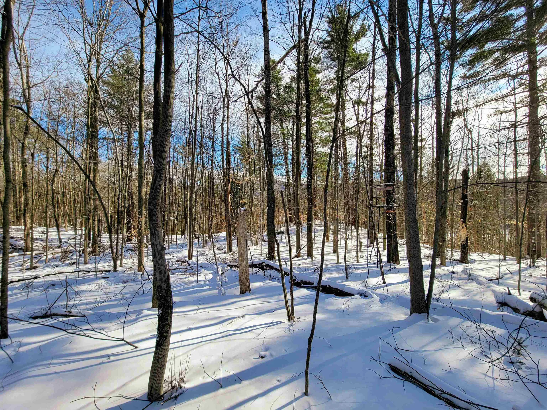 80 Carroll Road Waitsfield VT 05673